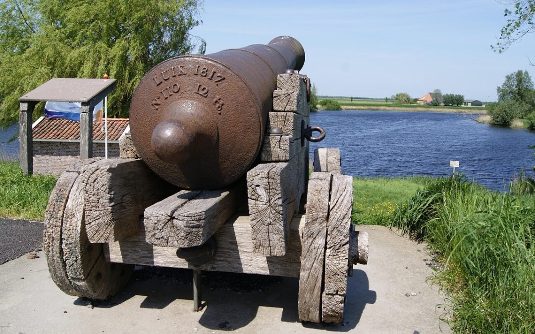 Evakuasi Ular di Masjid